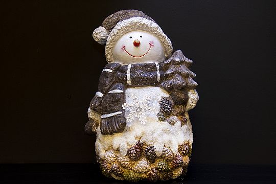 IMG-4883-1608198337.jpg